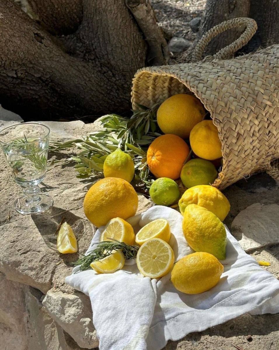 Sous les Citronniers